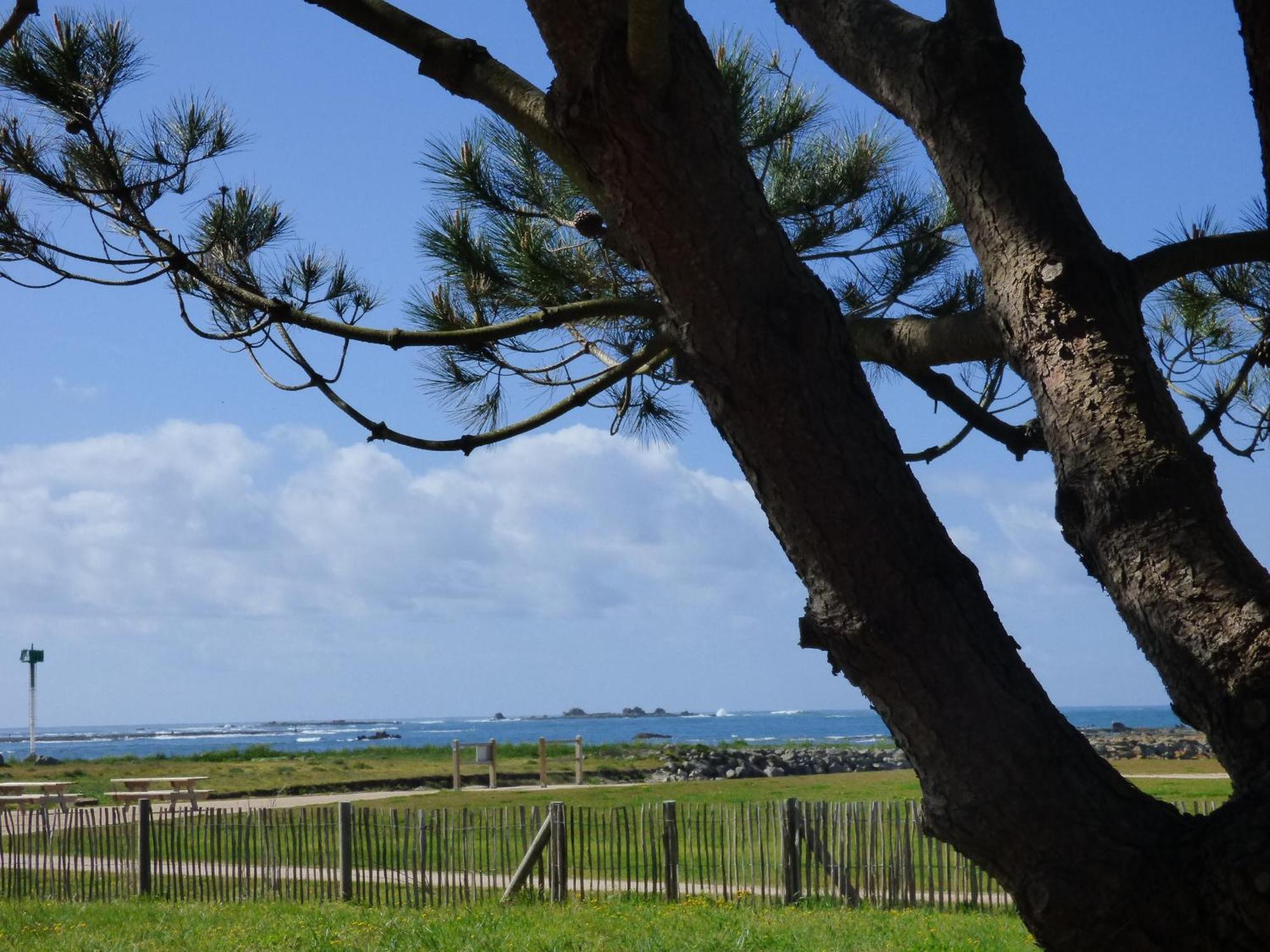 Appart-Studios Vue Mer Panoramique St Guenole Cote Mer Penmarcʼh Oda fotoğraf